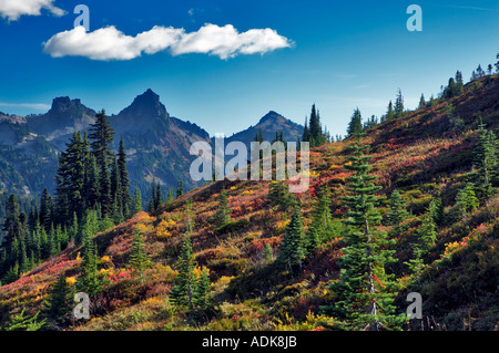 Tatoosh Mountains avec la couleur de l'automne comme vu du Mt Rainier National Park Washington Banque D'Images