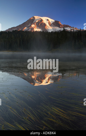 Reflet Lac avec brouillard et graminées automne Mt Rainier National Park Washington Banque D'Images