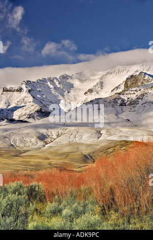 Steens Mountain avec une neige fraîche et red willows Oregon Banque D'Images