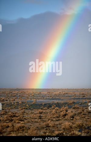 Avec arc-en-ciel sage Black Rock Desert National Conservation Area Nevada Banque D'Images