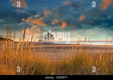 L'herbe des dunes avec Haystack Rock at Cannon Beach Oregon Banque D'Images