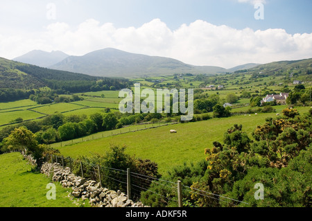 Campagne agricole dans les montagnes de Mourne, comté de Down, en Irlande. Vu de la route de Slieve Bearnagh Trassey avec de la distance. Banque D'Images