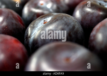 Prunes Banque D'Images