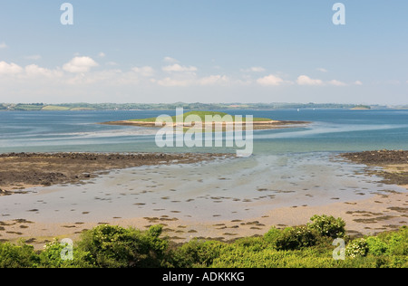 Strangford Lough, comté de Down, en Irlande. Conservation des habitats marins et d'oiseaux du site. Rive sud près de l'Audleys Château, Castleward. Banque D'Images