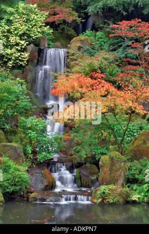 La couleur de l'automne avec une cascade dans les jardins japonais Portland Oregon Banque D'Images