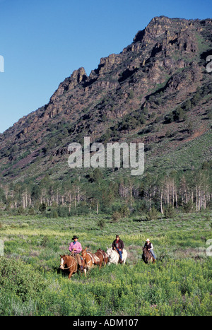 Les cow-boys de l'équitation dans les montagnes Banque D'Images