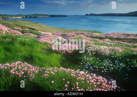 St Justinians Ramsey Sound Dyfed Pembrokeshire West Wales UK Banque D'Images