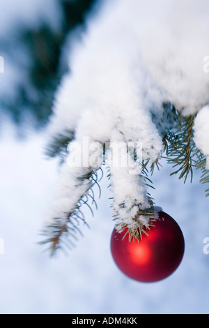 Boule de Noël rouge pendaison le sapin avec des tapis de neige hiver Alaska Banque D'Images