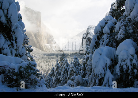 USA Californie Yosemite National Park neige fraîche tomber sur El Capitan dans la vallée de Yosemite Banque D'Images