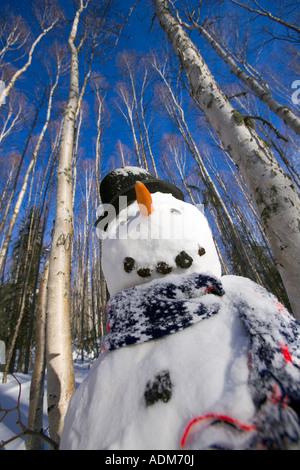 Le Snowman dans top hat écharpe en profonde forêt de bouleaux l'intérieur de l'Alaska, Winter Banque D'Images