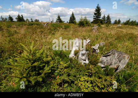 Vue aérienne sur la Krkonose République Tchèque Karkonosze Banque D'Images