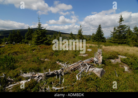 Vue aérienne sur la Krkonose République Tchèque Karkonosze Banque D'Images