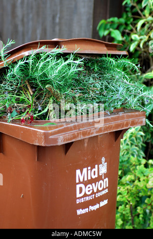 Wheely bins bordent les rues de Tiverton Devon en attente de collecte au petit matin Banque D'Images