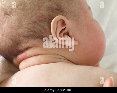 Close up of newborn baby's head, vue arrière Banque D'Images