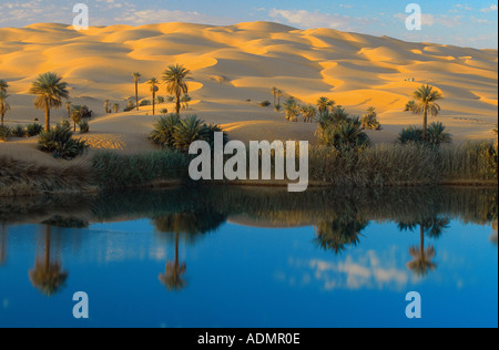 Palmier dattier (Phoenix dactylifera), le lac Mandara Um El Ma (mère de l'eau), les dunes à venir jusqu'à la rive, la Libye, l'Erg Ubari, Banque D'Images