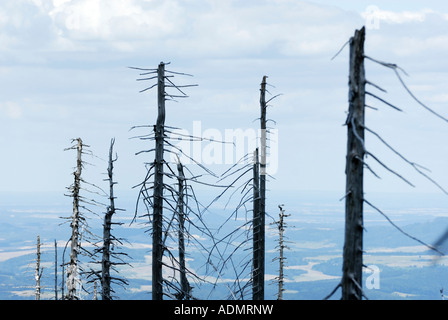 Vue aérienne sur la Krkonose République Tchèque Karkonosze Banque D'Images