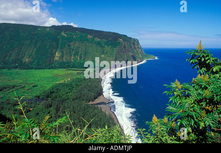 Vallée Waipio et la plage de la côte Hamakua Waipio Lookout Le Big Island Hawaii Banque D'Images