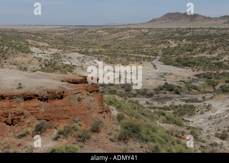 Tanzanie Afrique serengeti gorge olduvi Banque D'Images