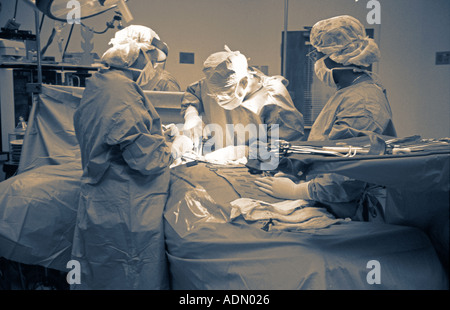 Prestation de l'équipe chirurgicale en salle d'opération de transplantation rénale Banque D'Images