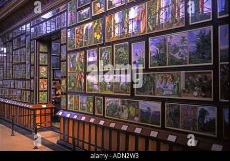 London Kew gardens marianne north gallery interior Banque D'Images