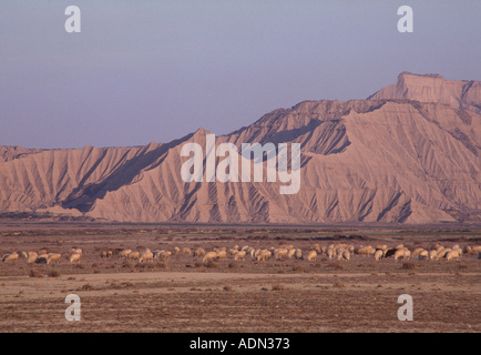 Bardenas Reales, Landschaft Banque D'Images