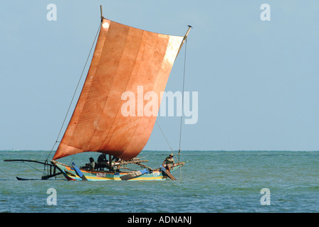 Les bateaux de pêche traditionnels Oruwa à Negombo Sri Lanka Banque D'Images