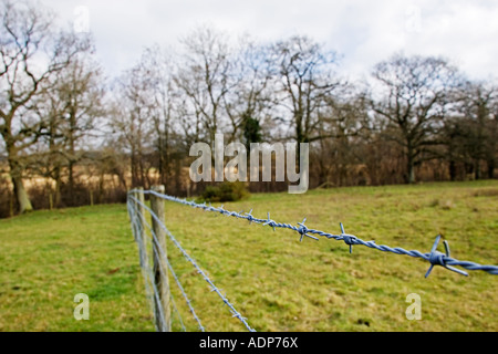 Barbelés dans l'Oxfordshire field Bruern les Cotswolds Royaume-Uni Banque D'Images
