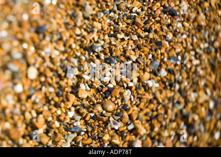 Plage de galets, Brighton, Angleterre, Royaume-Uni Banque D'Images