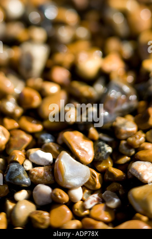 Plage de galets, Brighton, Angleterre, Royaume-Uni Banque D'Images