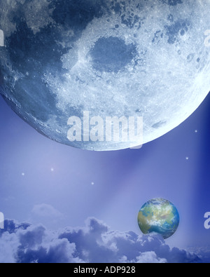 CONCEPT : l'espace Banque D'Images