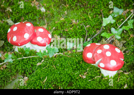 Champignons au West Putnam réserver gnome, Devon, UK Banque D'Images