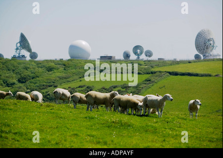 Le nord du Devon, près de Kilhampton avec un radar d'alerte précoce de la RAF staiton en arrière-plan et les moutons Banque D'Images