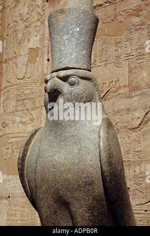 Un pèlerin de la statue en granite de Horus à la salle hypostyle dans temple d'Edfou dédié au dieu faucon Horus, construite pendant la période ptolémaïque -57 237 avant notre ère, l'Égypte Banque D'Images