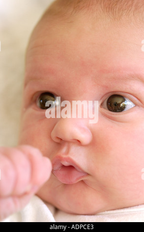 Portrait de bébé Banque D'Images