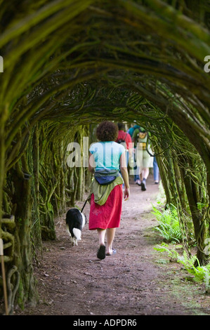 Femme et chien marche à travers une arche en Trevarno Gardens, Cornwall, UK Banque D'Images