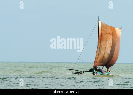 Les bateaux de pêche traditionnels Oruwa à Negombo Sri Lanka Banque D'Images