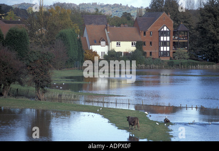 Les terres agricoles inondées par la rivière severn près de Bridgnorth après river éclate ses rives à Worcestershire Banque D'Images