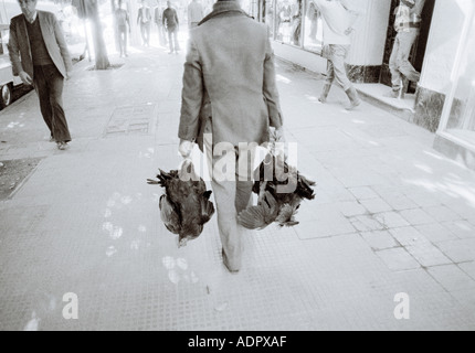 Homme avec trussed poulets dans les rues de Ville Nouvelle Nouvelle Ville de Fès au Maroc au Maghreb en Afrique du Nord Sahara. Peuple Marocain Fes Banque D'Images