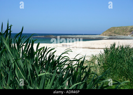 Plage de Lozenetz, côte sud, Bulgarie Banque D'Images