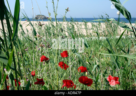 Plage de Lozenetz, côte sud, Bulgarie Banque D'Images