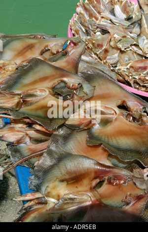 Raies séchées à la vente à un marché de fruits de mer près de la jetée de Yeongjongdo Gyeonggi Do Corée du Sud Incheon Banque D'Images