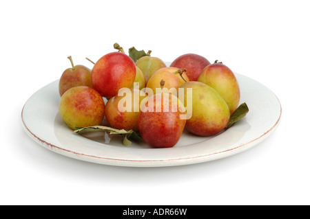 Les prunes Victoria sur plaque rustique Banque D'Images