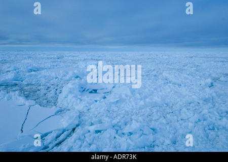 Banquise est la jonction de déménagement pack de glace et de terre coincé la glace de mer. Vue aérienne Banque D'Images