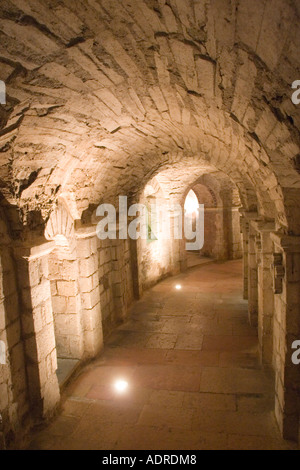 La crypte, église abbatiale St Philibert Tournus France Banque D'Images