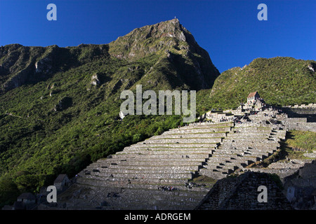 [Machu Picchu], terrasses de pierre des anciennes ruines Incas dans la lumière du soleil du matin, le Pérou, les Andes, l'Amérique du Sud' Banque D'Images