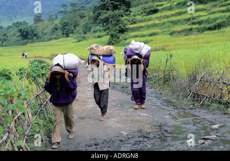 Nepali porteurs dans la région de l'Annapurna Népal Ngadi proche village Banque D'Images