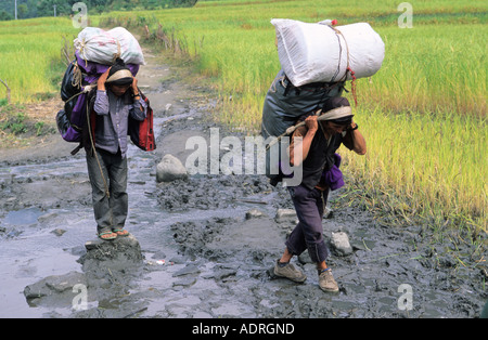 Nepali porteurs dans la région de l'Annapurna Népal Ngadi proche village Banque D'Images