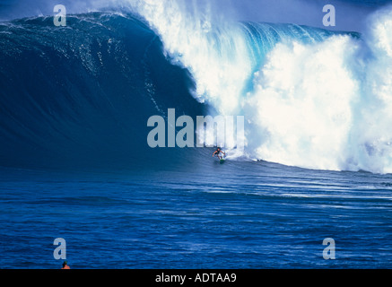 D'énormes vagues sur la plage de mâchoires Hawaii Banque D'Images