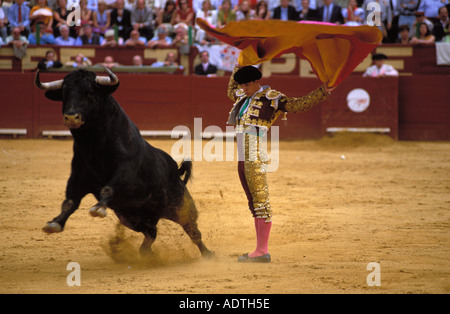 Jerez de la frontera torero el julio avec une spectaculaire déplacer Banque D'Images