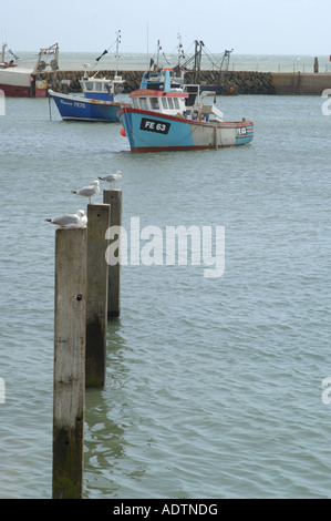 Le port de Folkestone, Kent, Angleterre Banque D'Images